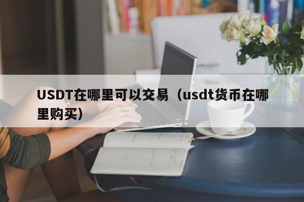 USDT在哪里可以交易（usdt货币在哪里购买）