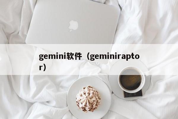 gemini软件(geminiraptor)