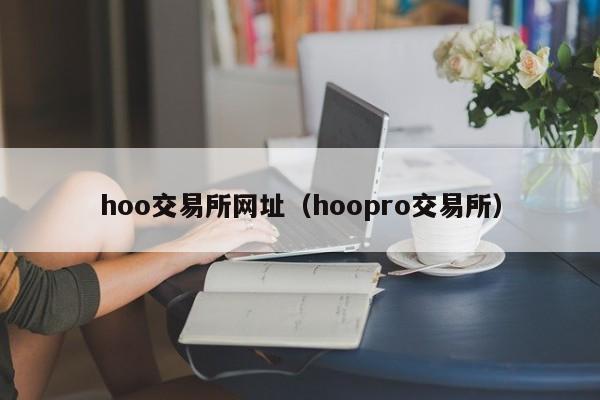 hoo交易所网址(hoopro交易所)