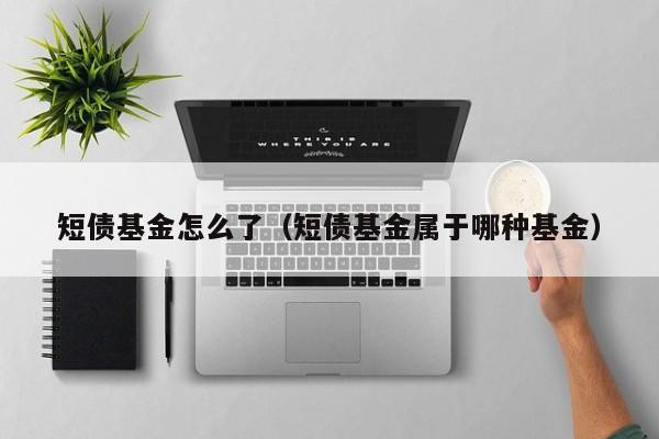 短债基金怎么了（短债基金属于哪种基金）
