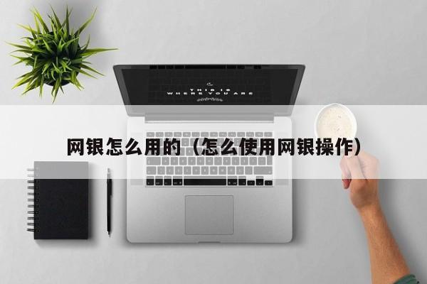 网银怎么用的（怎么使用网银操作）