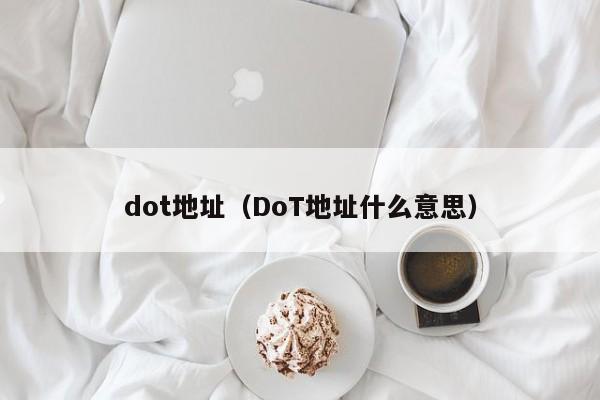 dot地址（DoT地址什么意思）