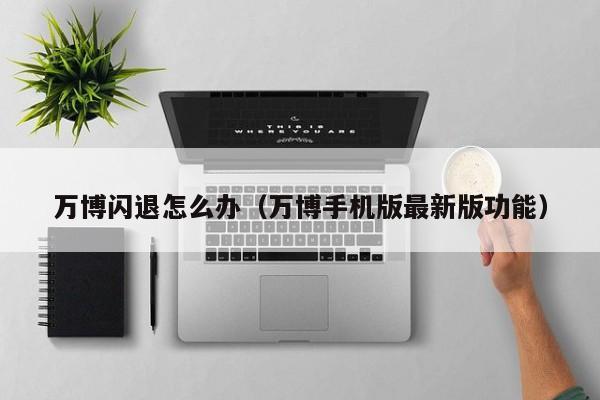万博闪退怎么办（万博手机版最新版功能）
