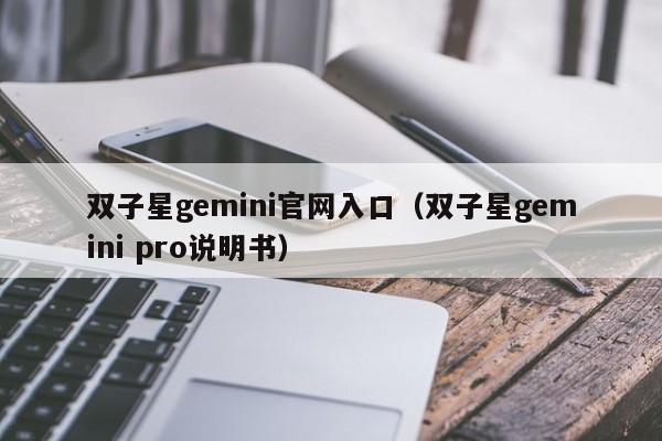 双子星gemini官网入口（双子星gemini pro说明书）