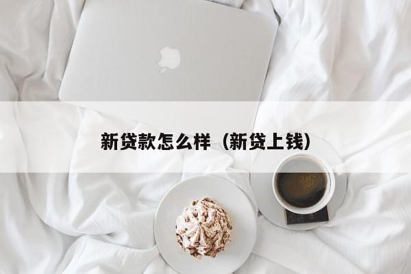 新贷款怎么样（新贷上钱）