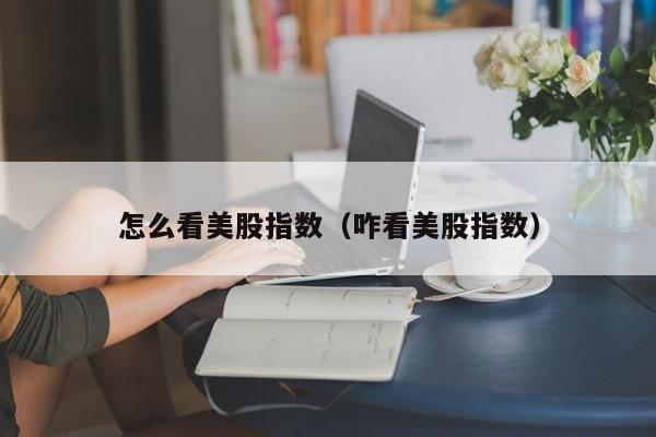 怎么看美股指数（咋看美股指数）