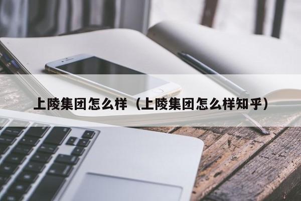 上陵集团怎么样（上陵集团怎么样知乎）