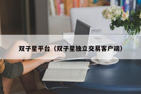双子星平台（双子星独立交易客户端）